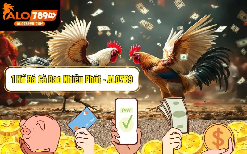 Một hồ đá gà bao nhiêu phút? Giải đáp chi tiết cho kê thủ mới chơi